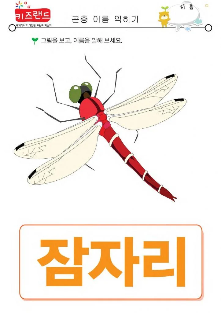 곤충 이름 익히기