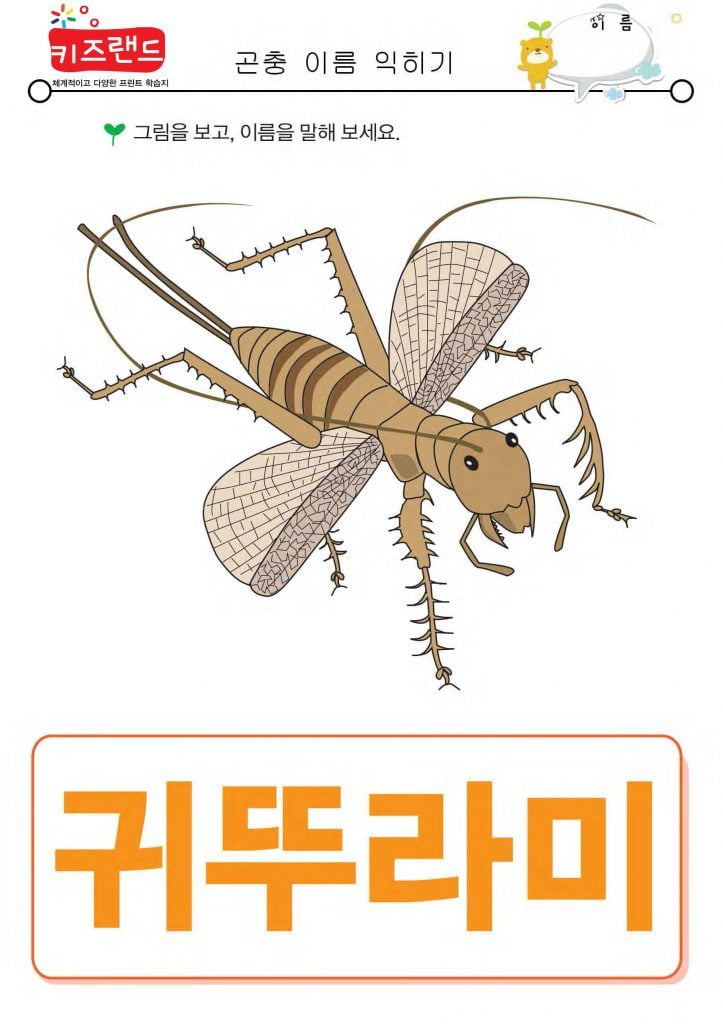 곤충 이름 익히기