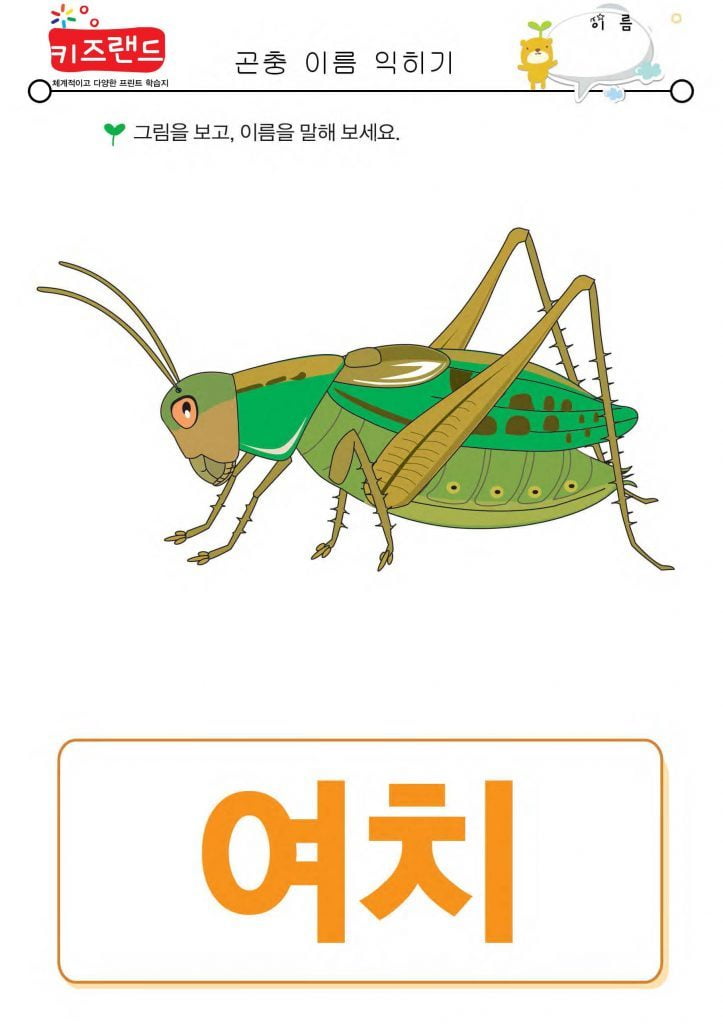 곤충 이름 익히기