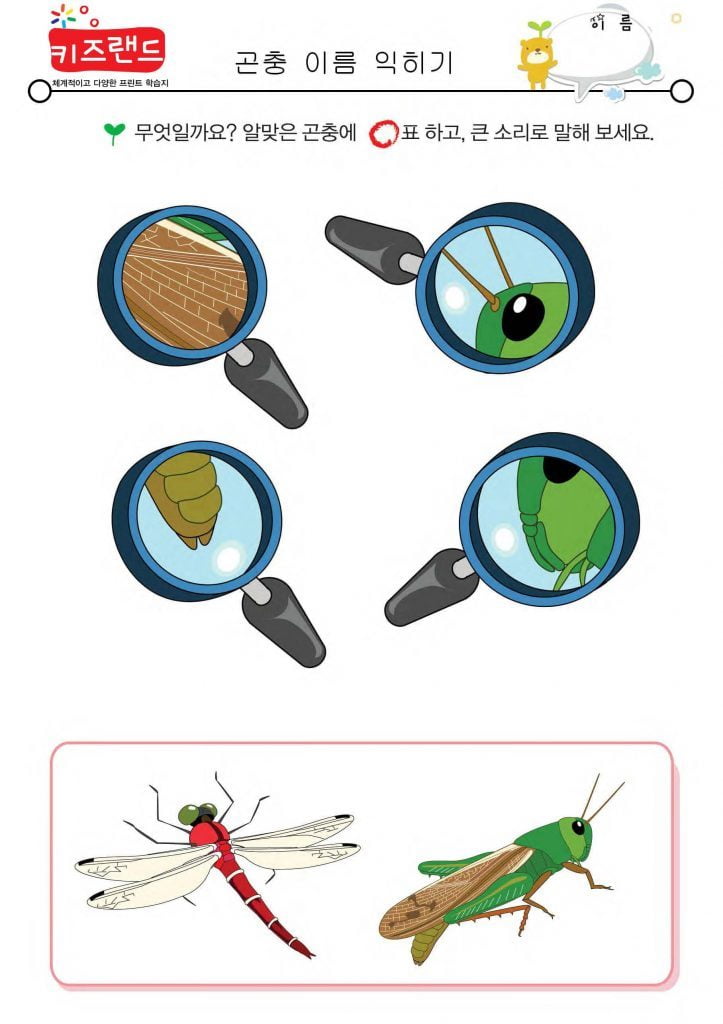 곤충 이름 익히기