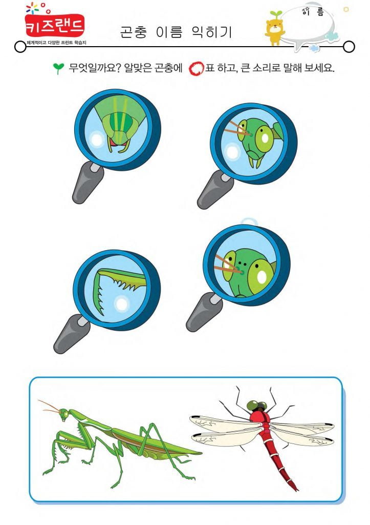 곤충 이름 익히기