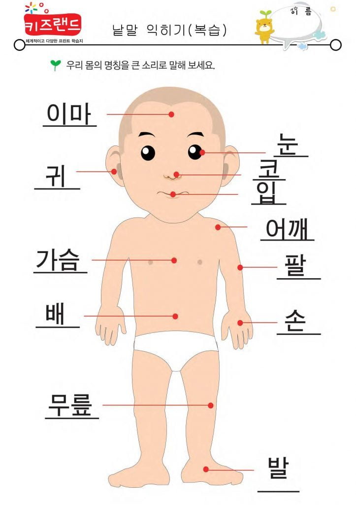 낱말 익히기(복습)