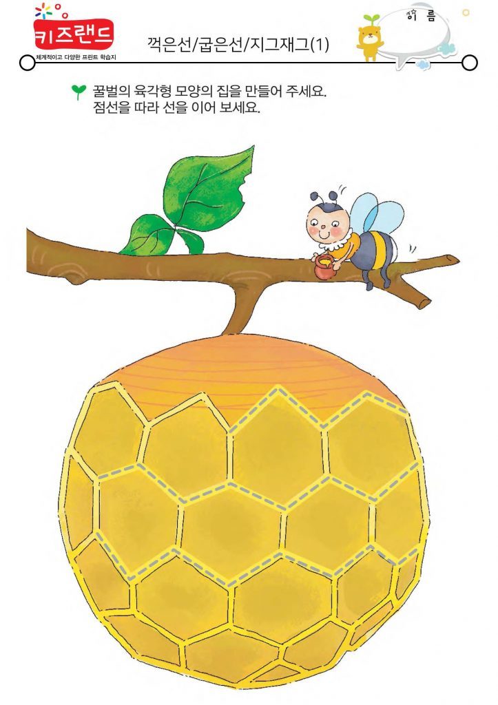 다양한 선긋기