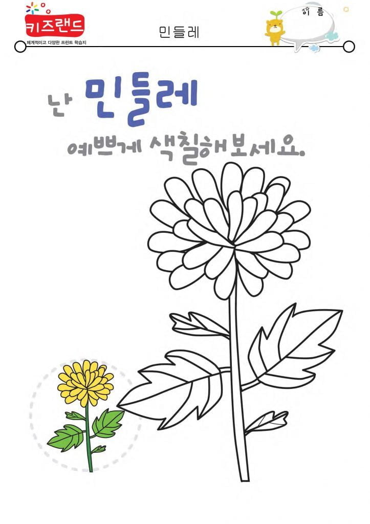 민들레